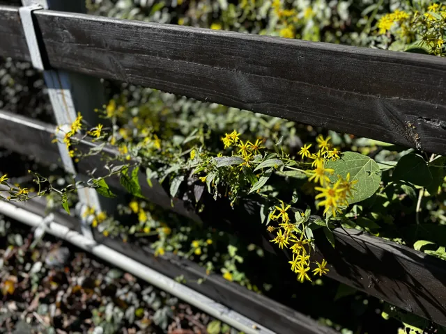 神仙谷隱藏玩法大公開！極限蹦極+深山尋寶