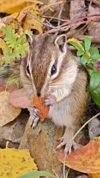 站在中國最北的江灣，擁抱一整片北國的浪漫
