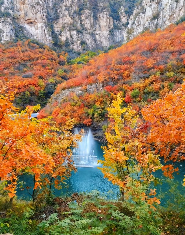 無門票!無停車費!景色絕美!不愧上過央視! 無門票!無停車費!景色絕美!不愧上過央視!
