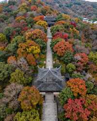 建築與自然的詩意碰撞|踏千年城垣,尋江南福地,感受古邑風雅