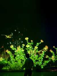 不愧是上海公園美到「未來感」拉滿