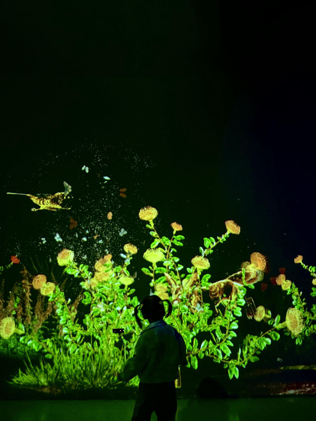 不愧是上海公園美到「未來感」拉滿 不愧是上海公園美到「未來感」拉滿