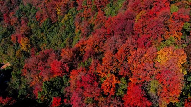 衢州四季色彩，十二傳統色時光獨白