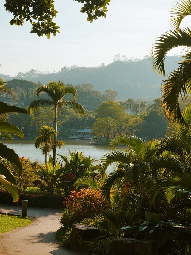 12月仙湖植物園親子遊|不走回頭路攻略 12月仙湖植物園親子遊|不走回頭路攻略