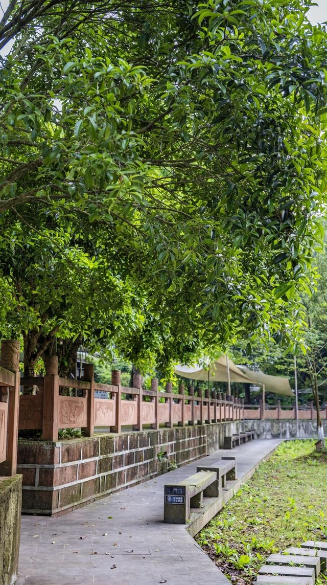 成都平樂古鎮:風景如畫的桃源仙境 成都平樂古鎮:風景如畫的桃源仙境