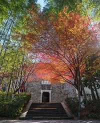 溧陽天目湖3日遊：天目湖山水