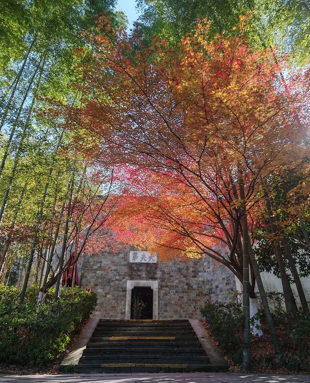 溧陽天目湖3日遊：天目湖山水