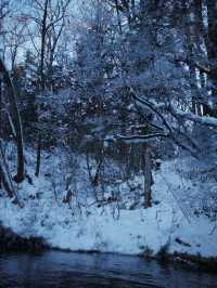 長白山萬達滑雪全攻略!粉雪天堂暢玩指南