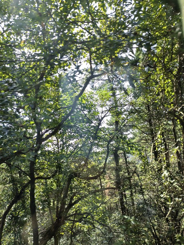 天橋勝境~非橋似橋的意境! 天橋勝境~非橋似橋的意境!