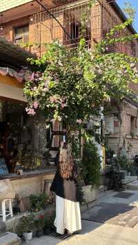 淡季的泉州也太chill了吧古城漫步全攻略