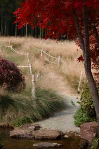 金色的粉黛是冬季的明信片