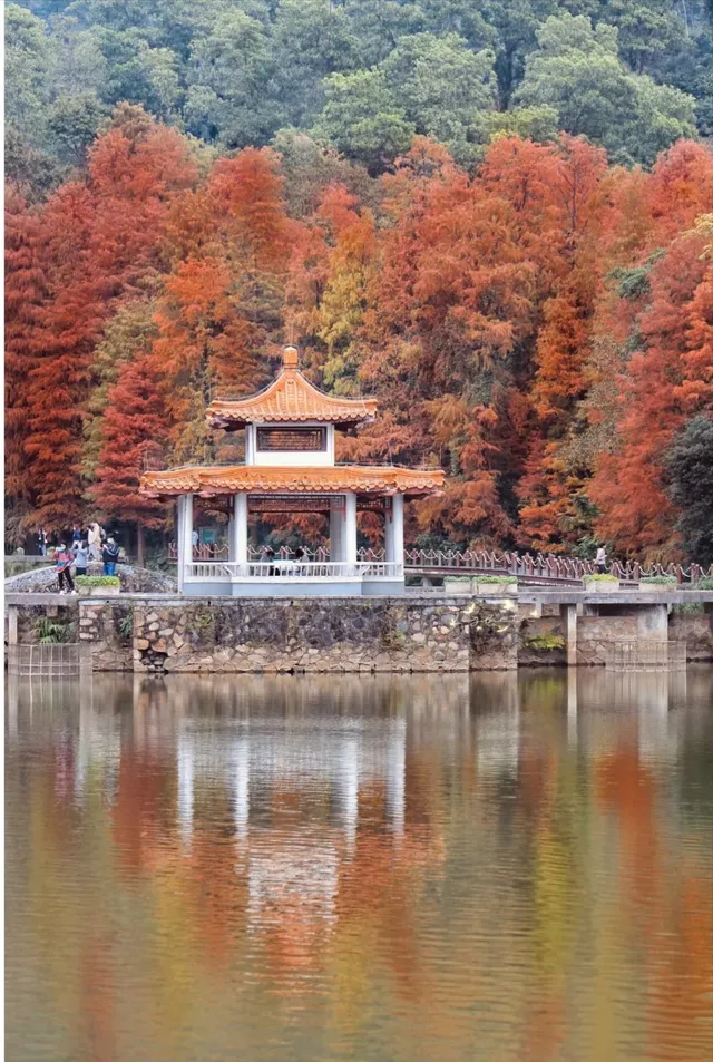 18圖帶你看深圳秋冬限定美景 18圖帶你看深圳秋冬限定美景