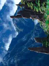 別再只知道迎客松了!這裡才是黃山的神!!