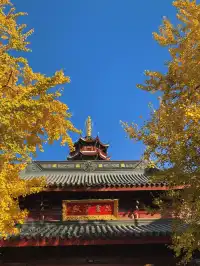 南京古雞鳴寺 | 邂逅千年梵剎的禪意