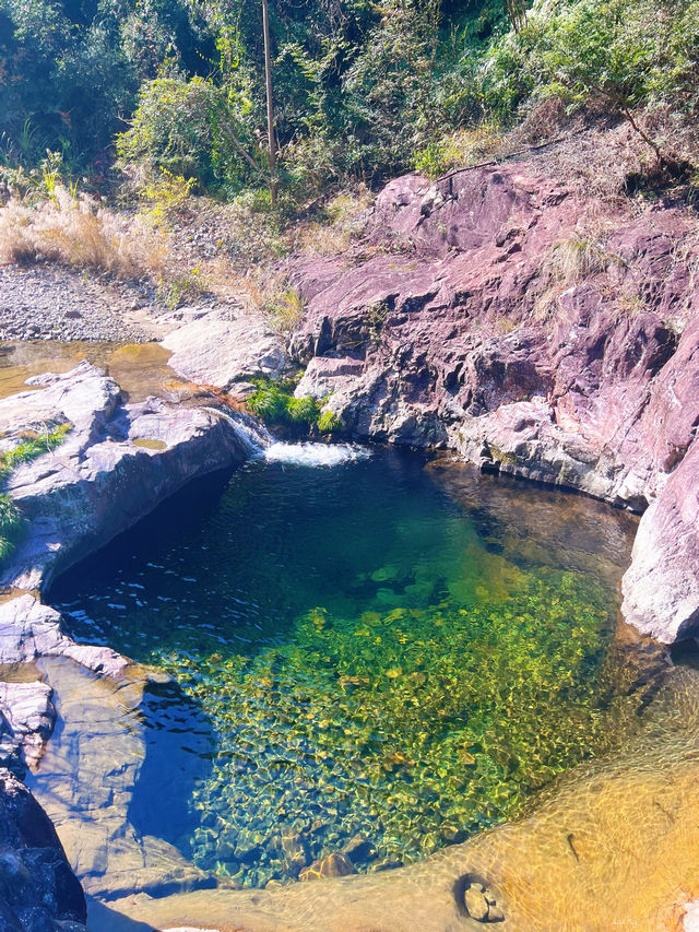永嘉五星潭森林公園 永嘉五星潭森林公園