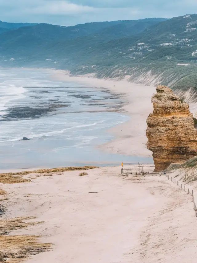 1-Day Australia Private Car Tour: Easily Visit Popular Check-in Spots