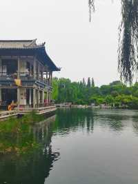 濟南寶藏免費景點!五龍潭公園遊玩全攻略