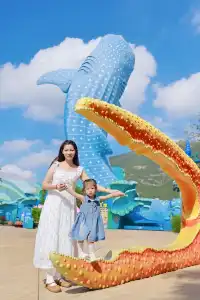 不到 150 找的珠海長隆跟拍踩雷了嗎?