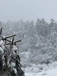 神農架冬日童話|闖入南國最純淨的雪國