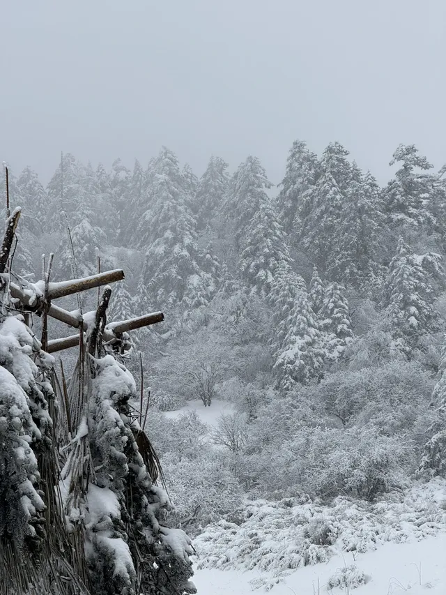 神農架冬日童話|闖入南國最純淨的雪國 神農架冬日童話|闖入南國最純淨的雪國