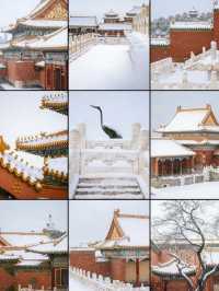 瀋陽故宮的雪太絕了!冬日限定版紅牆白雪,美到窒息!