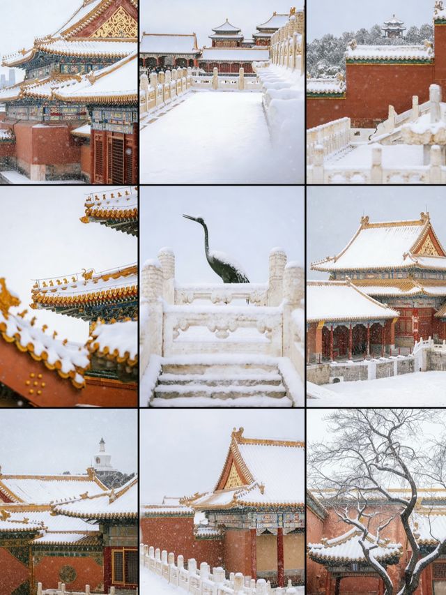 瀋陽故宮的雪太絕了!冬日限定版紅牆白雪,美到窒息! 瀋陽故宮的雪太絕了!冬日限定版紅牆白雪,美到窒息!