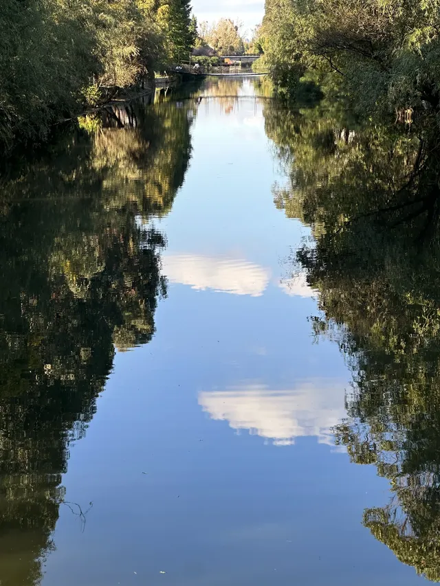 昆明漫遊記day3在翠湖發呆也太舒服了吧! 昆明漫遊記day3在翠湖發呆也太舒服了吧!