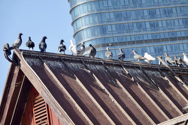 私藏大連海景攻略 私藏大連海景攻略