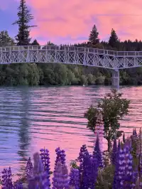 我們的蜜月天地山河為證(新西蘭10天版)