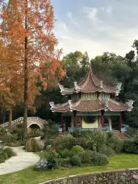 湖北新生旅遊年卡武漢植物園全攻略