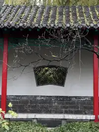 老舍：上帝把秋和冬全賜給了濟南