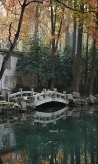 武漢東湖邊藏了個金色+鏽紅色的油畫秋天