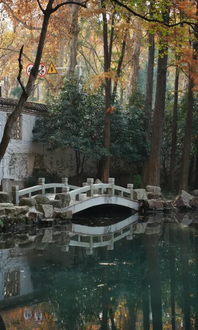 武漢東湖邊藏了個金色+鏽紅色的油畫秋天 武漢東湖邊藏了個金色+鏽紅色的油畫秋天