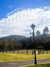 溧陽澗谷溫德姆至尊豪廷溫泉酒店 | 棲山林泡溫泉,解鎖暖冬療癒
