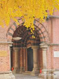 深秋限定！上海聖三一教堂銀杏與穹頂的絕美邂逅