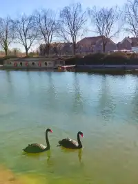 正定一個人逛一下午的冬日治癒路線