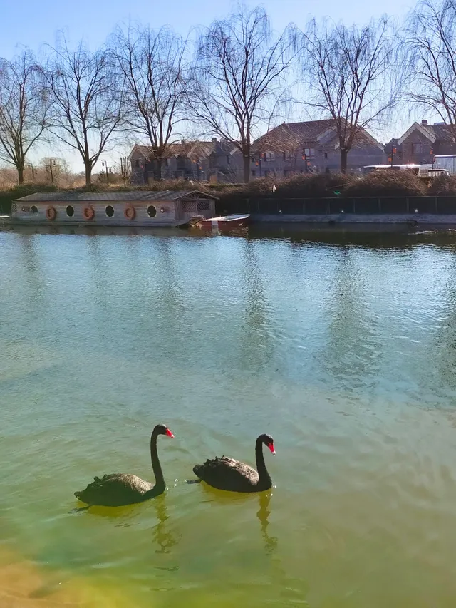 正定一個人逛一下午的冬日治癒路線