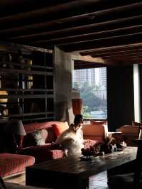 誰還沒來版納過夏天