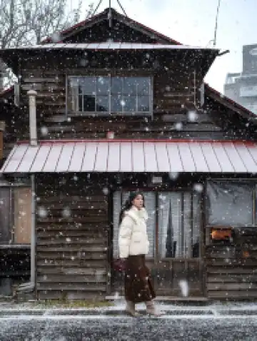 北海道雪又開始下了。