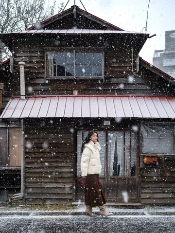 北海道雪又開始下了。