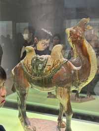 南京必去景點-南京博物院