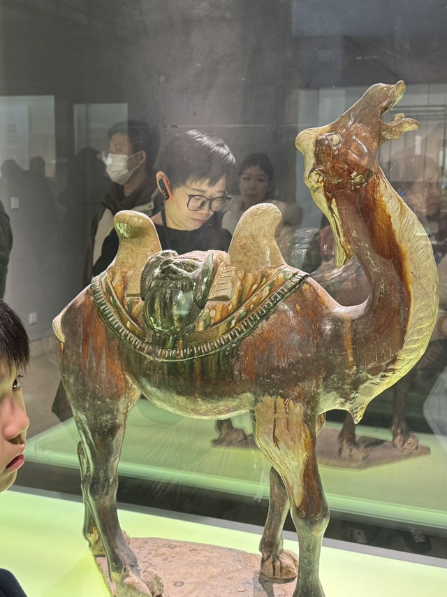 南京必去景點-南京博物院 南京必去景點-南京博物院