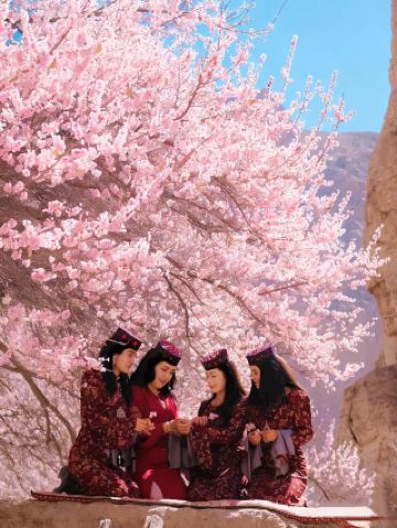 National Geographic recommends a 6-day apricot blossom tour to southern Xinjiang.