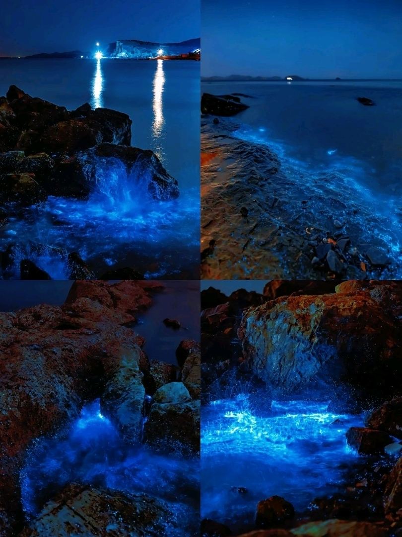 💧一生必看一次的「藍眼淚」奇觀！高鐵直達福建平潭，租輛小電驢追逐