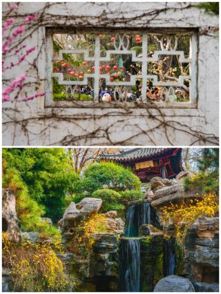 《목련과의 약속, 보통천에서 만나는 지난의 봄날 로맨스》