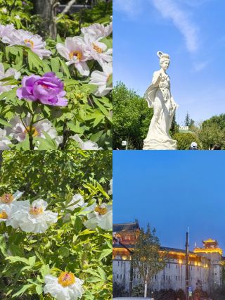 สุดยอดประสบการณ์ท่องเที่ยวแบบประหยัดในเดือนมีนาคม! 4 เมืองนี้คุ้มค่าเงินสุดๆ