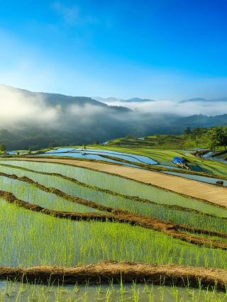 3-Day Travel Guide for Dongfang and Surrounding Areas: Detailed and Perfect for Lazy Travelers Staying Up Late