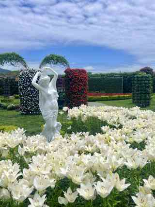 2026年 Zhongshe flower market taichung観光スポットおすすめ| Trip