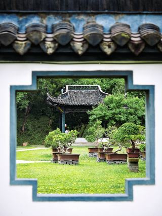 The Slender West Lake hides a museum of intangible cultural heritage bonsai｜The oriental three-dimensional ink painting is stunning
