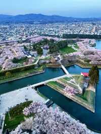 5天暑期日本遊攻略附超全玩法